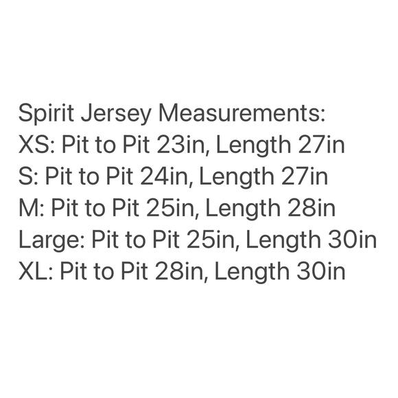 NWOT Disney Parks Disneyland Disney 100 Platinum Fireworks Spirit Jersey XL - Picture 5 of 5